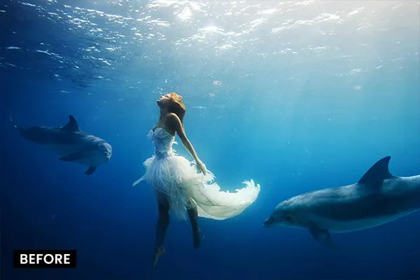 Striking Underwater backdrops bundle