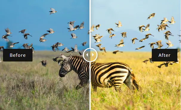 animal luminar preset collection