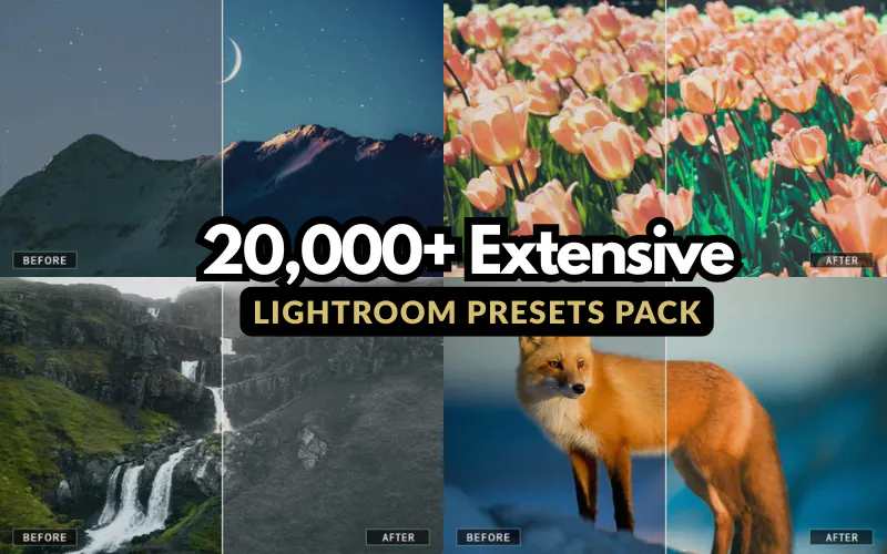 lightroom presets