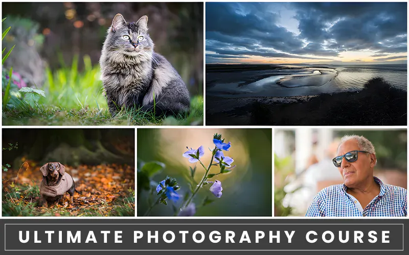 beginners photography course
