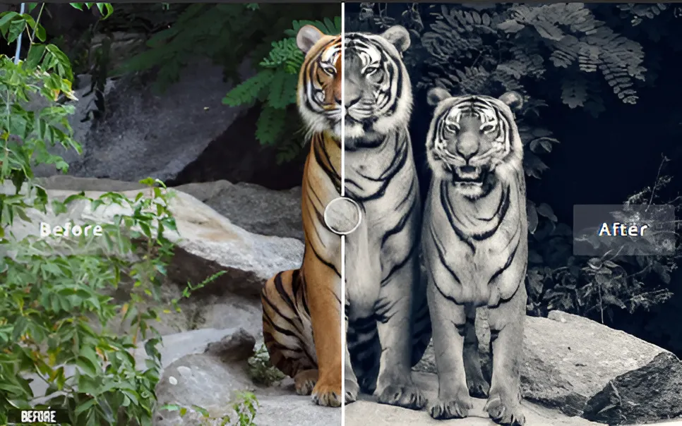 80 Cool Photoshop Actions for Effortless Editing