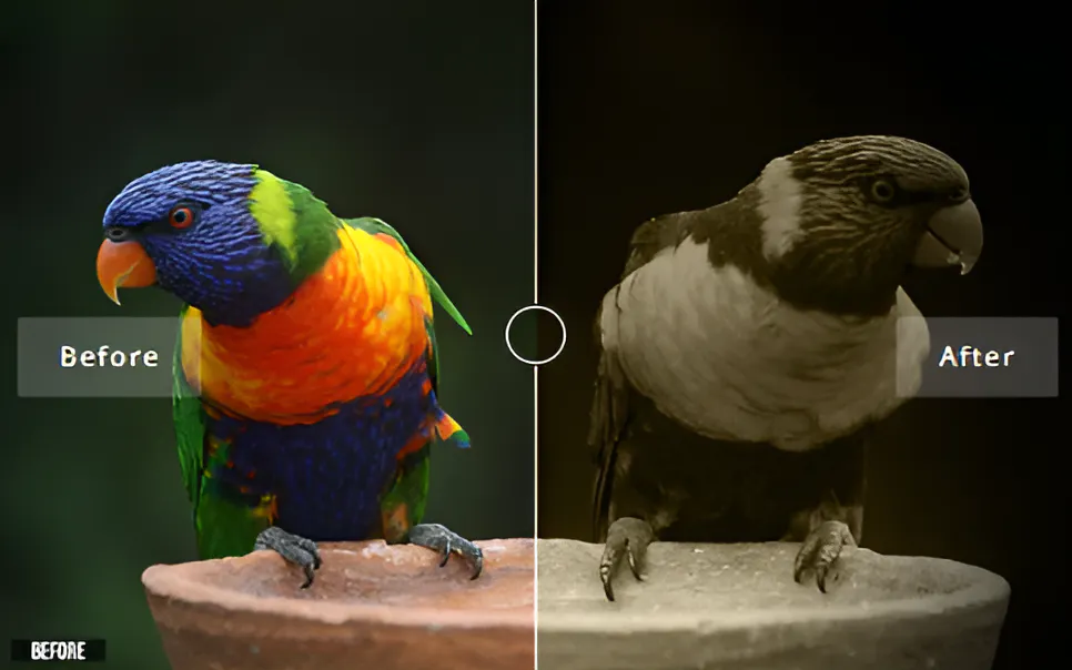 80 Cool Photoshop Actions for Effortless Editing