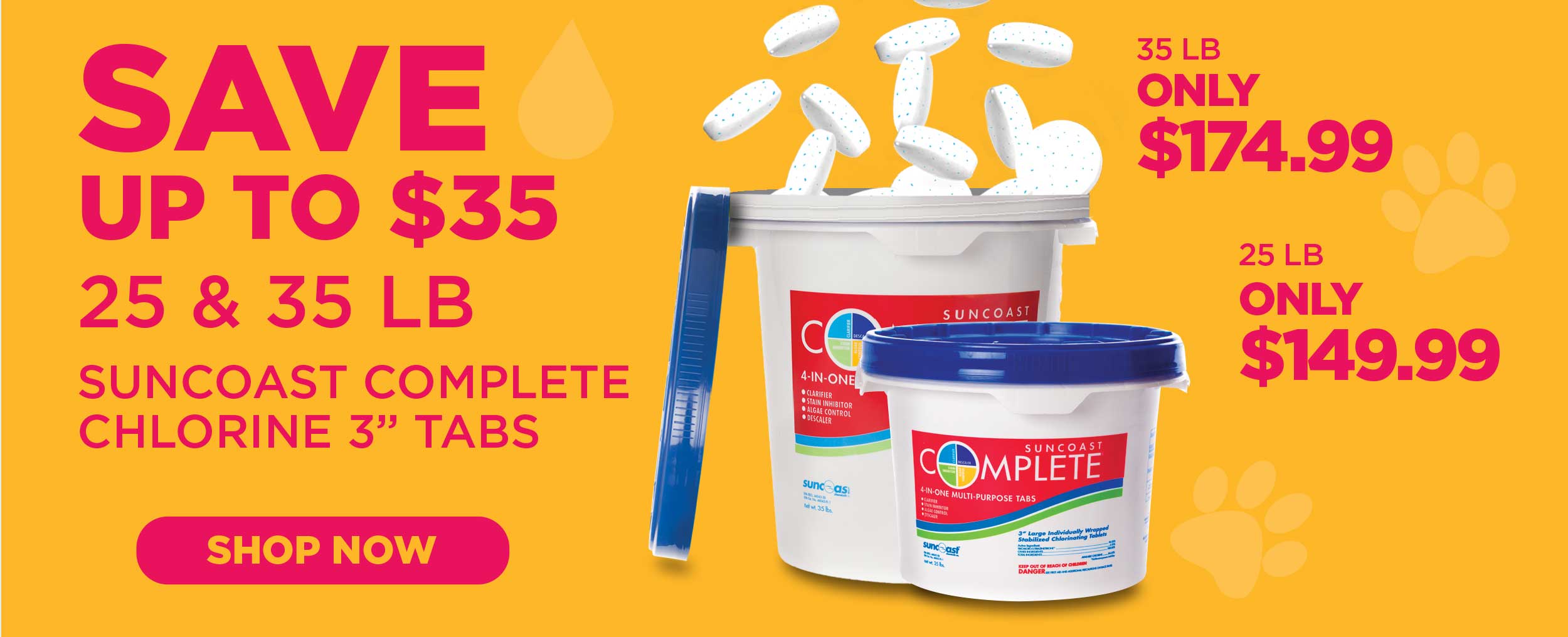 pool care essentials