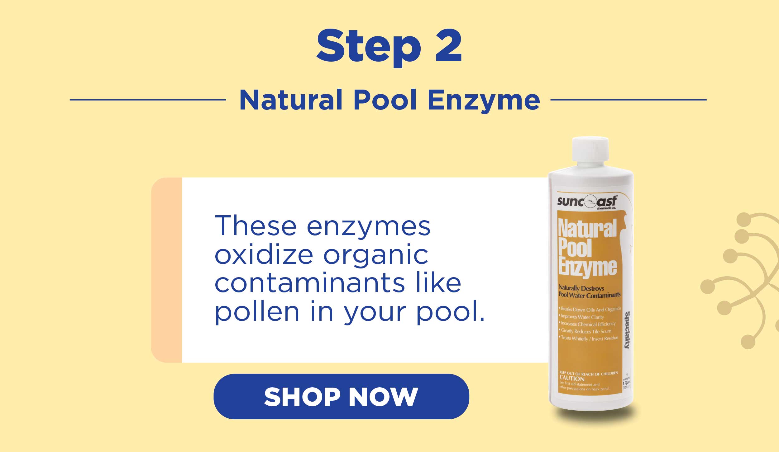 Shop Natural Pool Enzyme