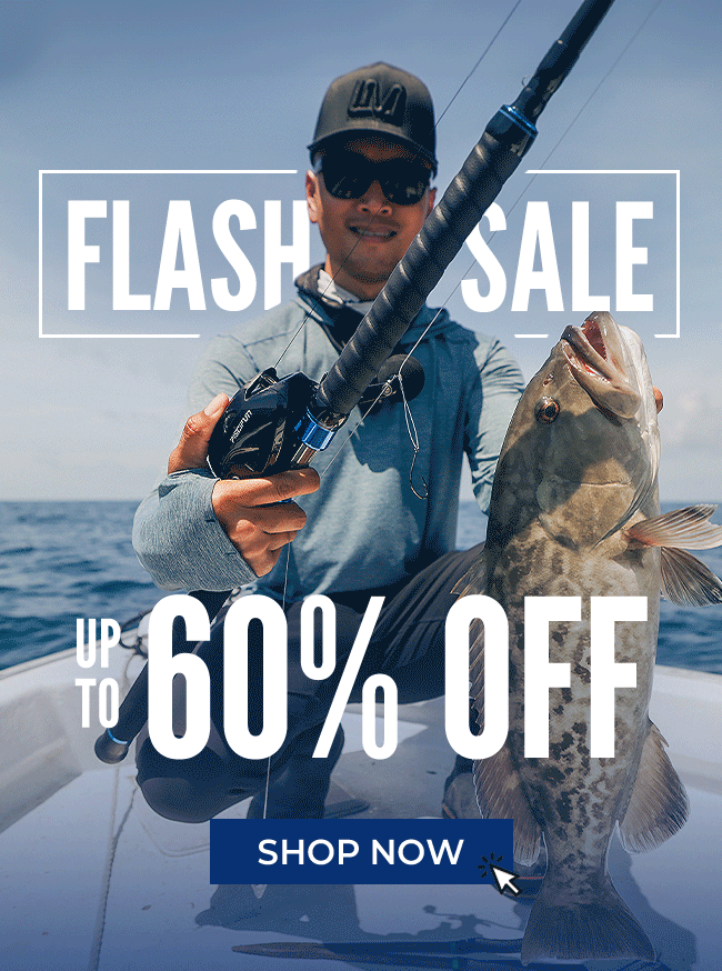 flash sale