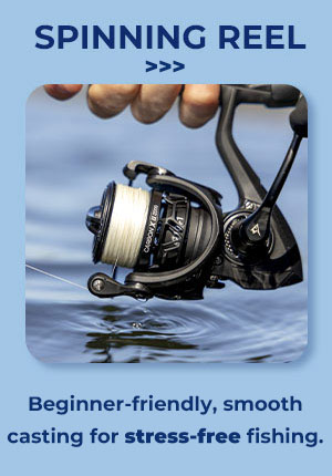 spinning reel