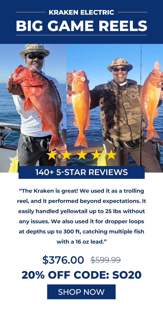 electric fishing reel