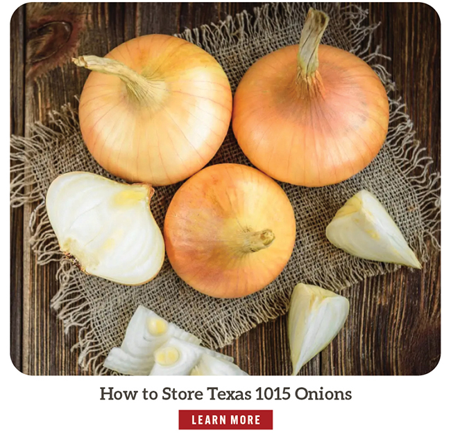 How to Store Texas 1015 Onions