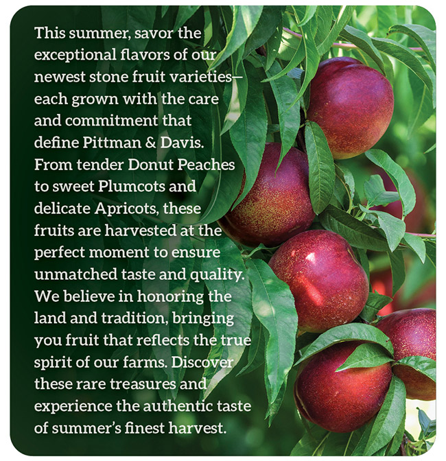 Summer Fruit