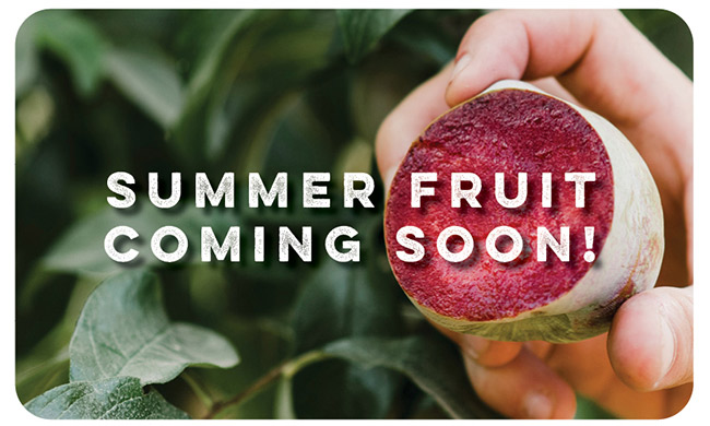  "Coming