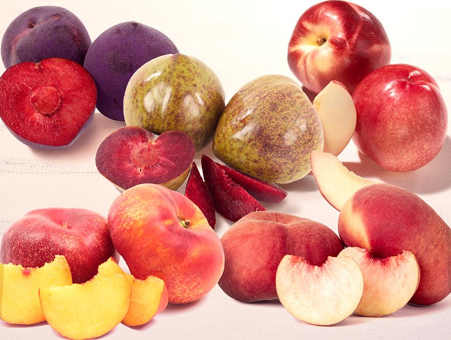 Grower's Best