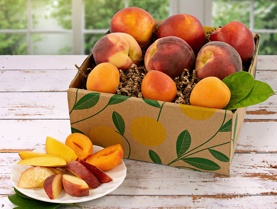 Grower's Best