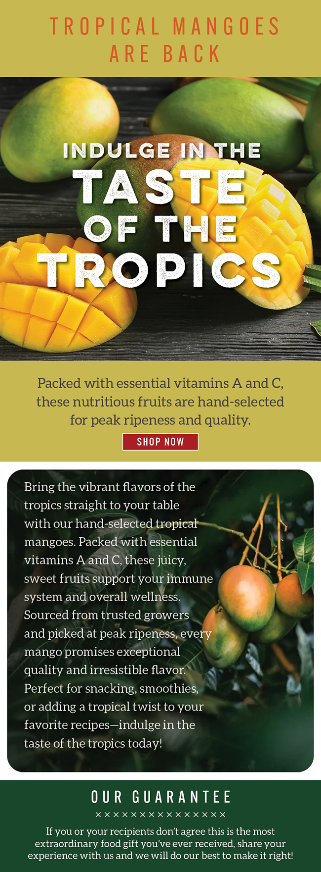  "Tropical