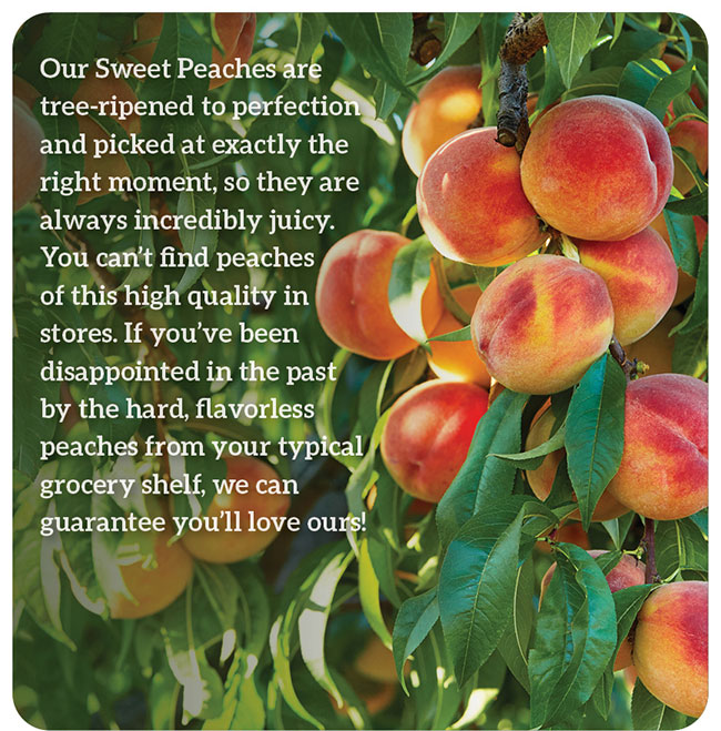 Sweet Peaches