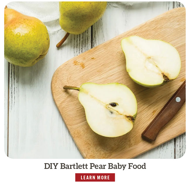 DIY Pittman & Davis Bartlett Pear Baby Food