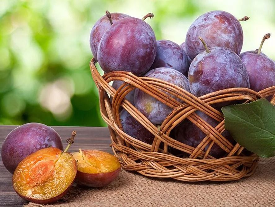 Empress Plums