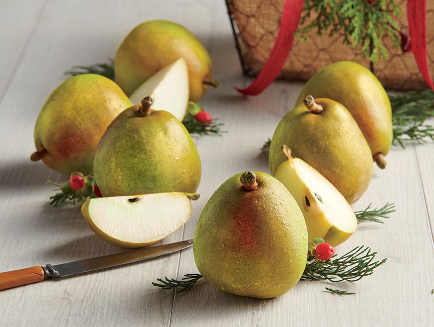 Simply Pears Club