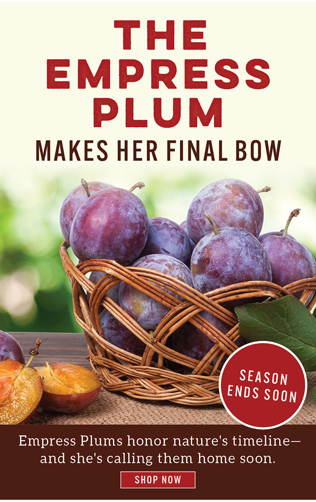Empress Plums
