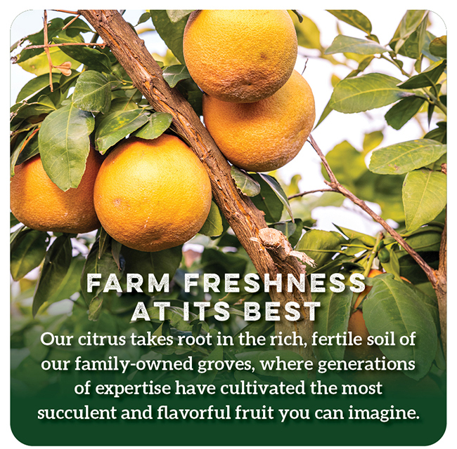Citrus Gifts
