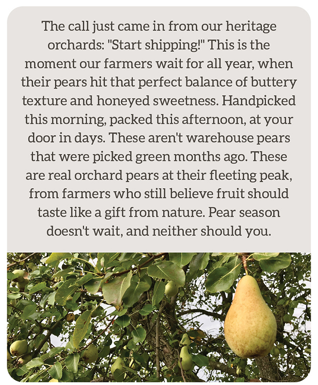 Pear Gifts