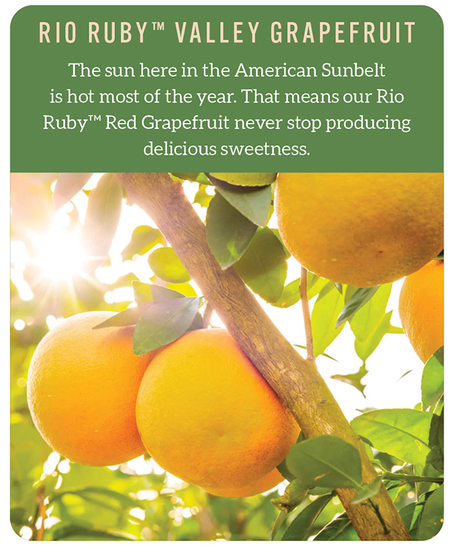 Grapefruit Gifts