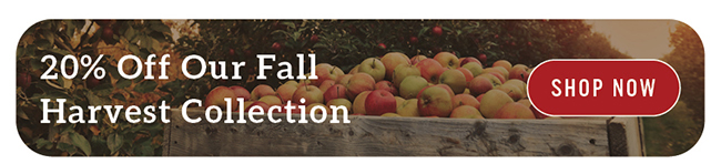 Fall Gifts 20% Off