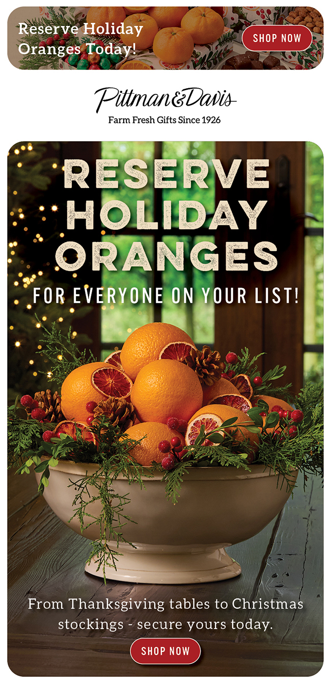 Holiday Navel Gifts