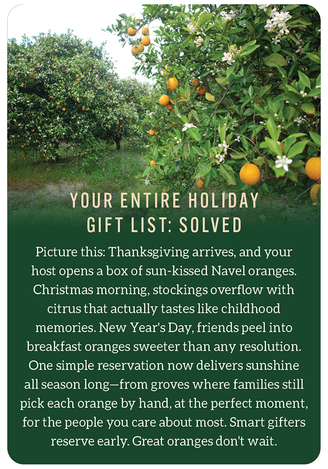 Holiday Navel Gifts