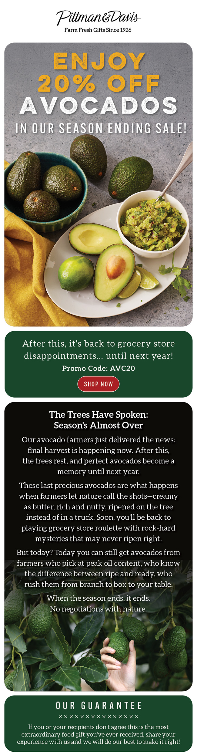 Avocados 20% Off