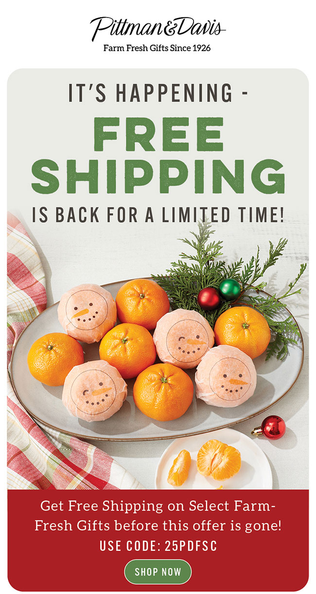 Free Shipping