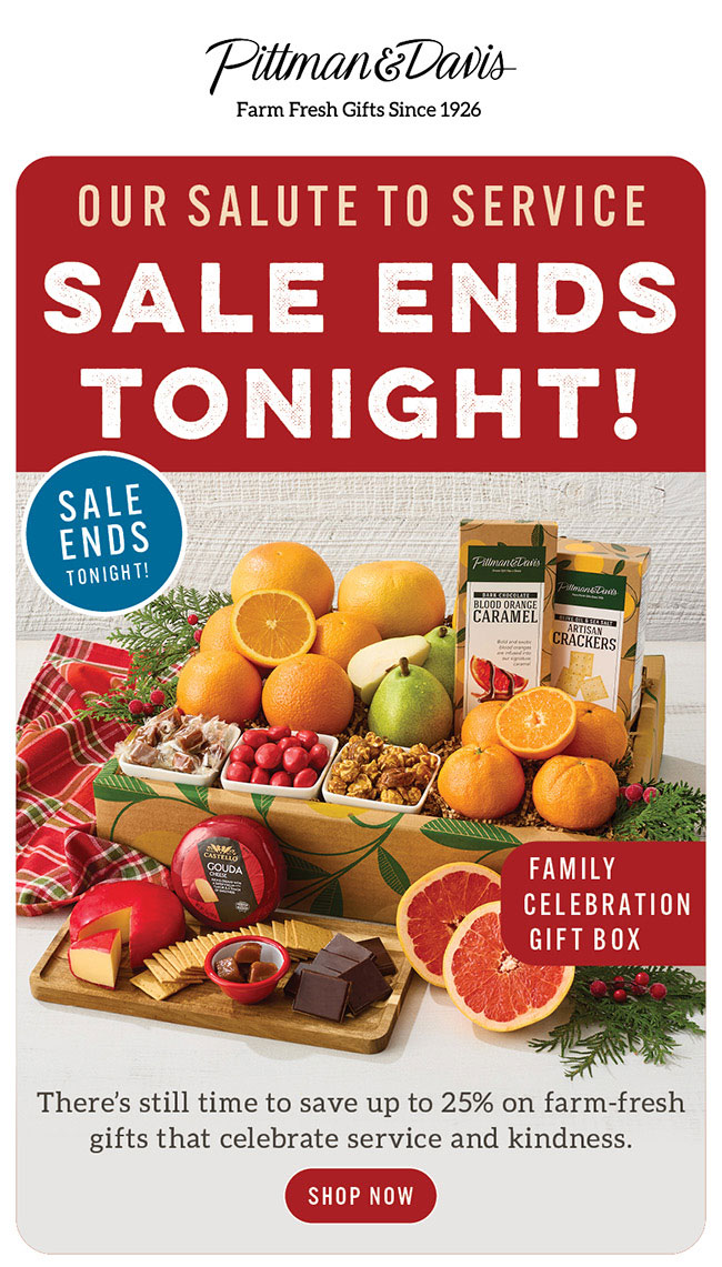 Veterans Day Sale