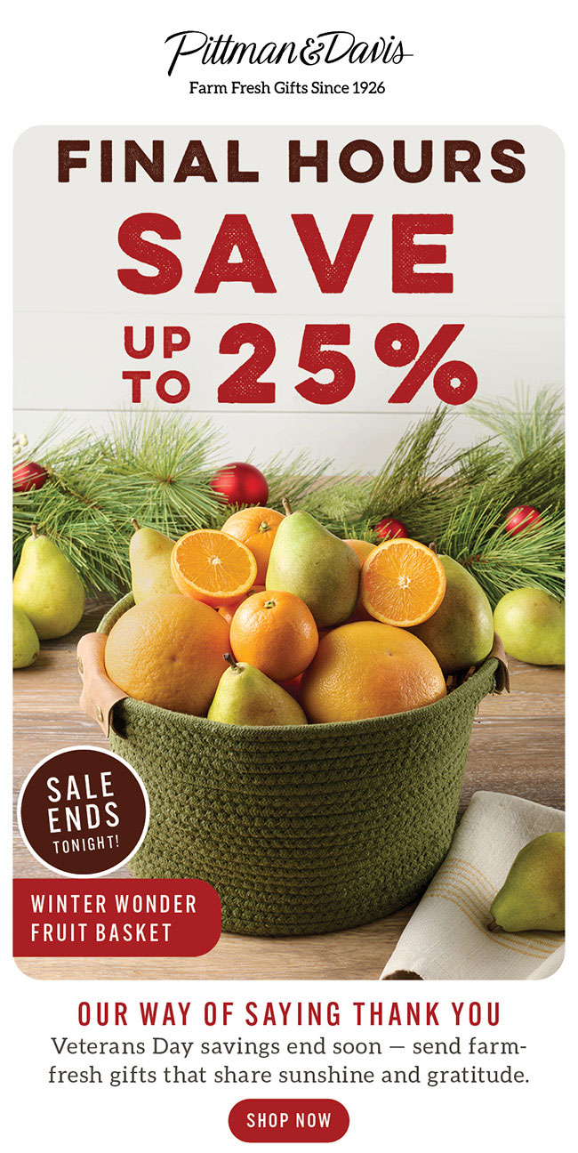 Veterans Day Sale