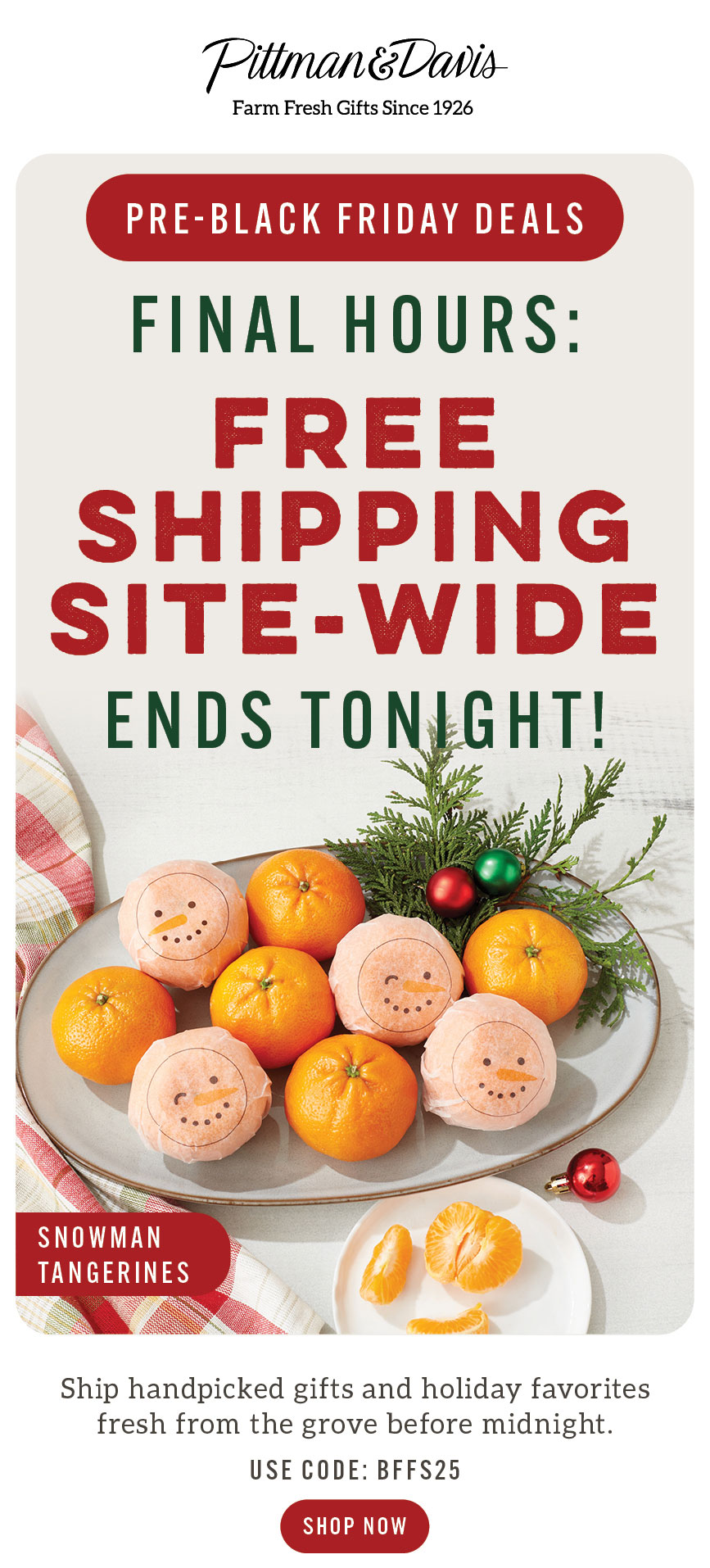 Free Shipping