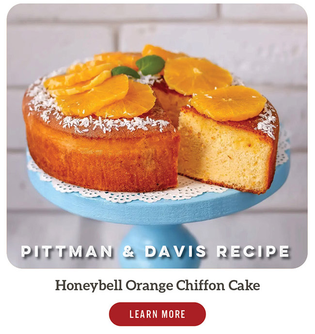 Honeybell Orange Chiffon Cake