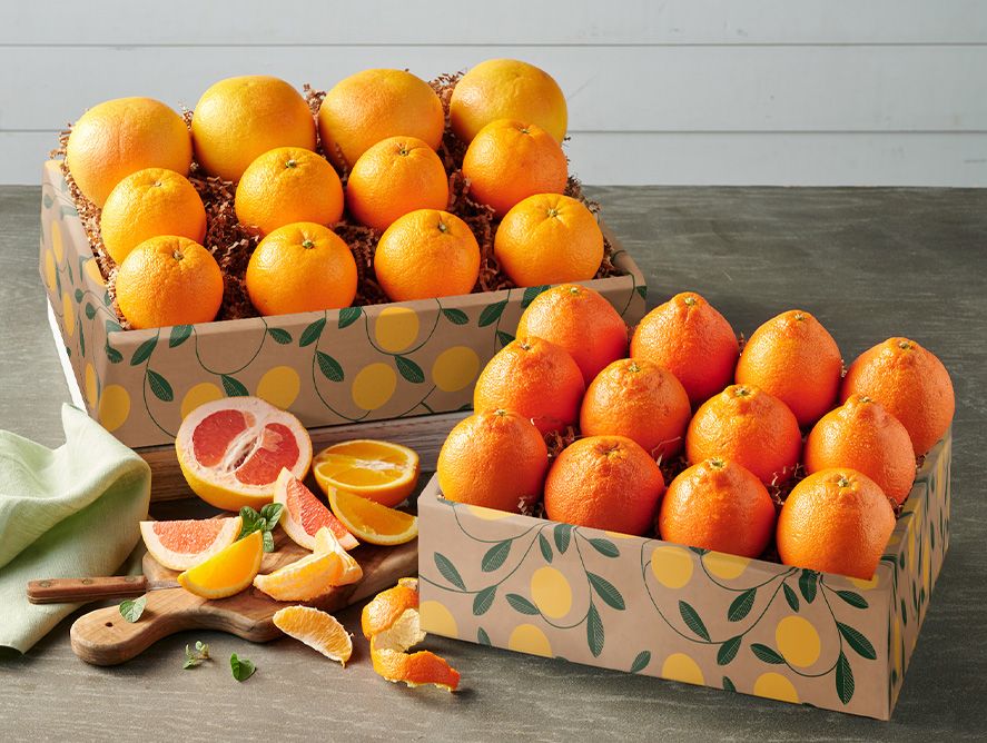 Navels, Ruby Reds & Honeybells