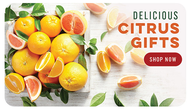 Citrus Gifts