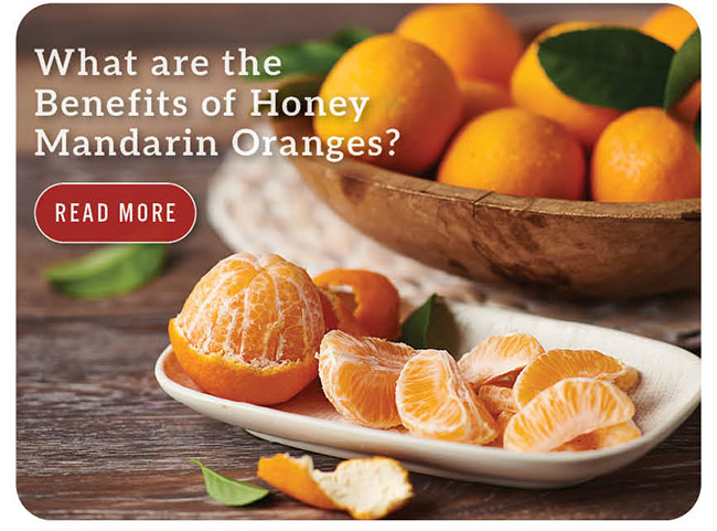 What are the Benefits of Honey Mandarin Oranges?