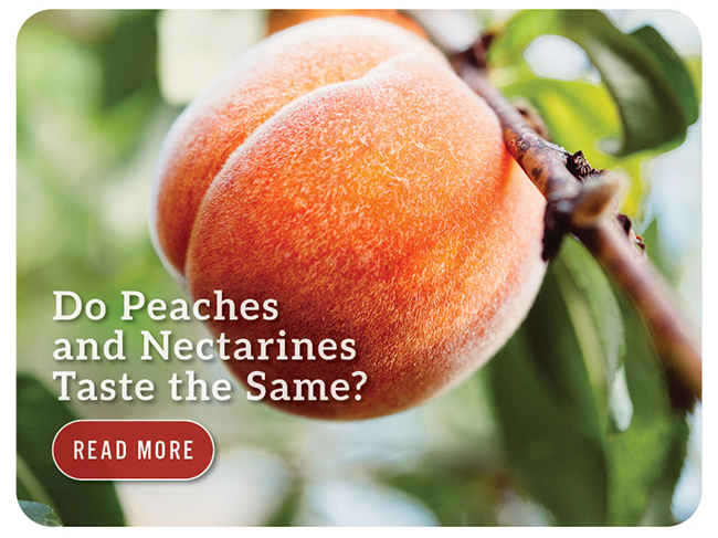 Do Peaches and Nectarines Taste the Same?