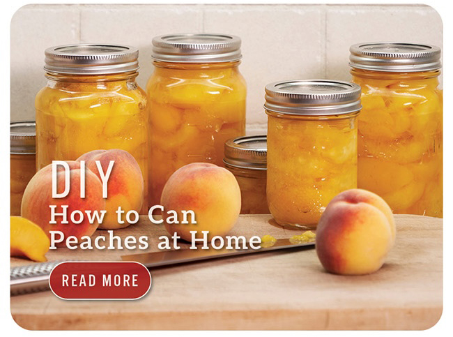 DIY: How to Can Peaches at Home
