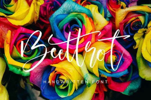 Preview Of Beettrot Font Included In The Bundle