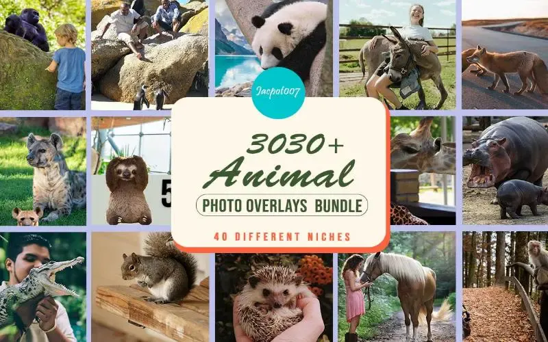 3000+ Animal Cut-Outs Bundle