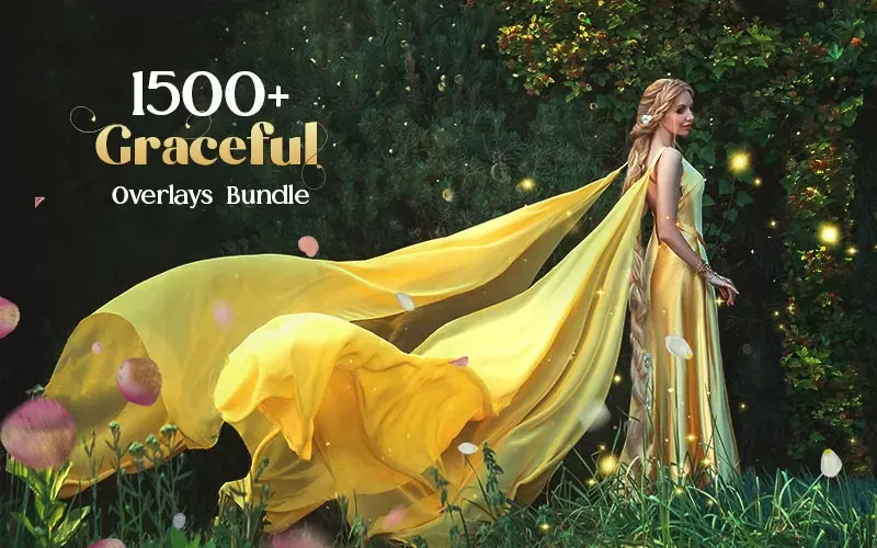 1500+ Graceful Image Overlays Bundle