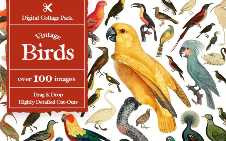 vintage birds cut-outs