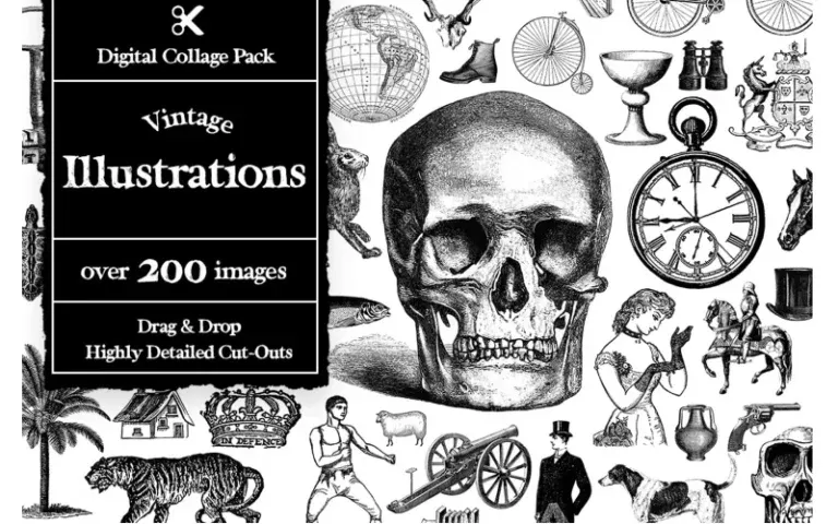 vintage illustrations