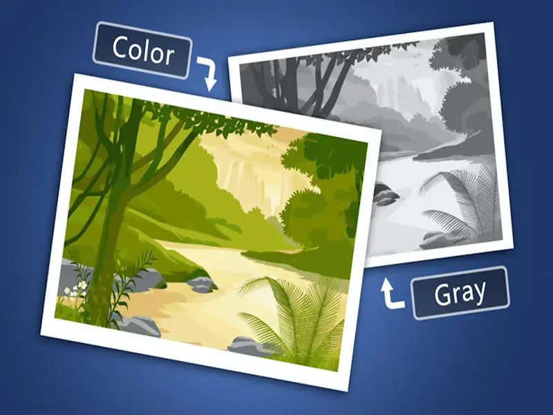 A preview of color effect applied to a forest's black and white image  using the Super Vectorizer.