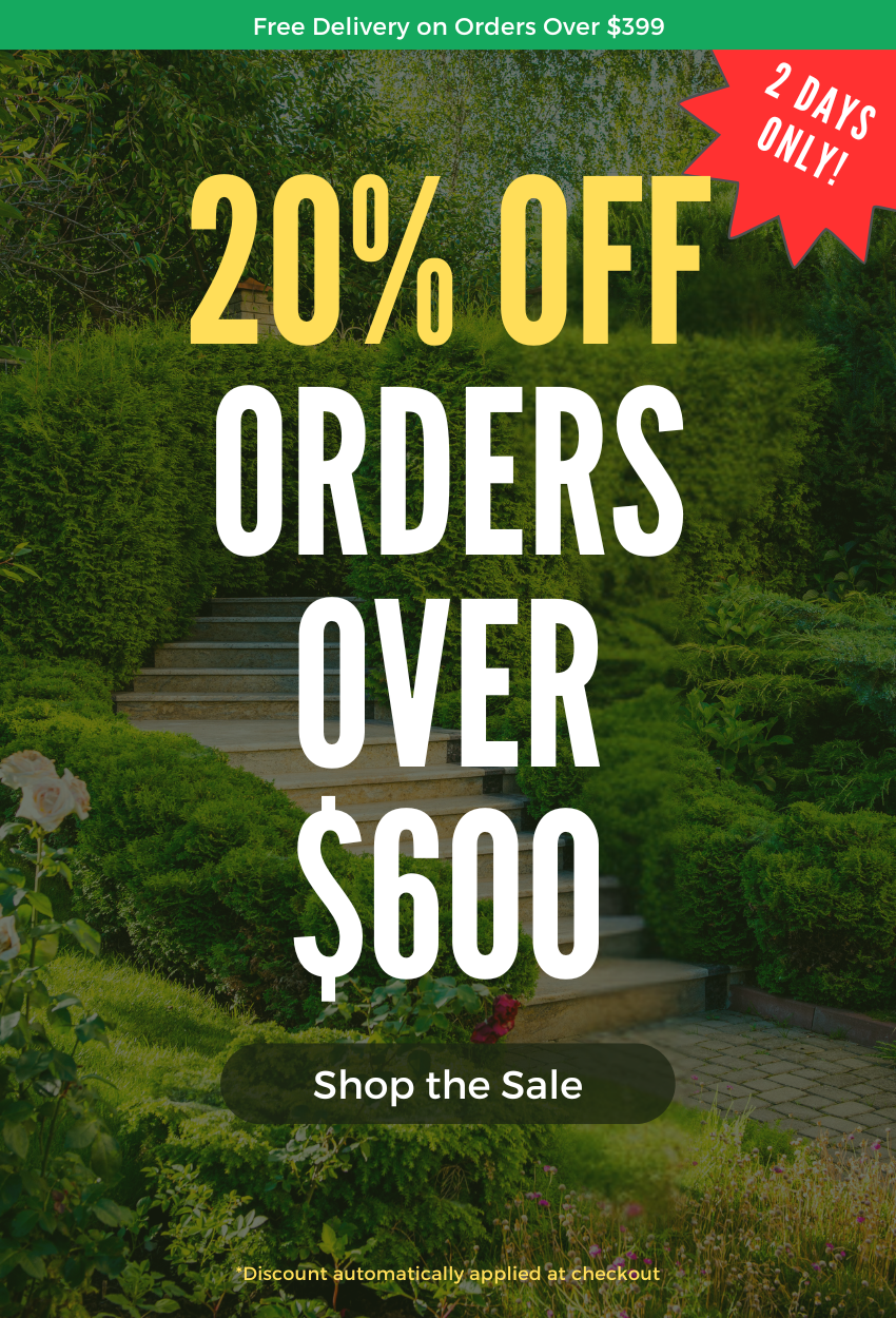 Plants Express Sale