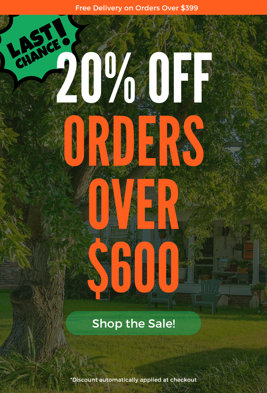 Plants Express Sale