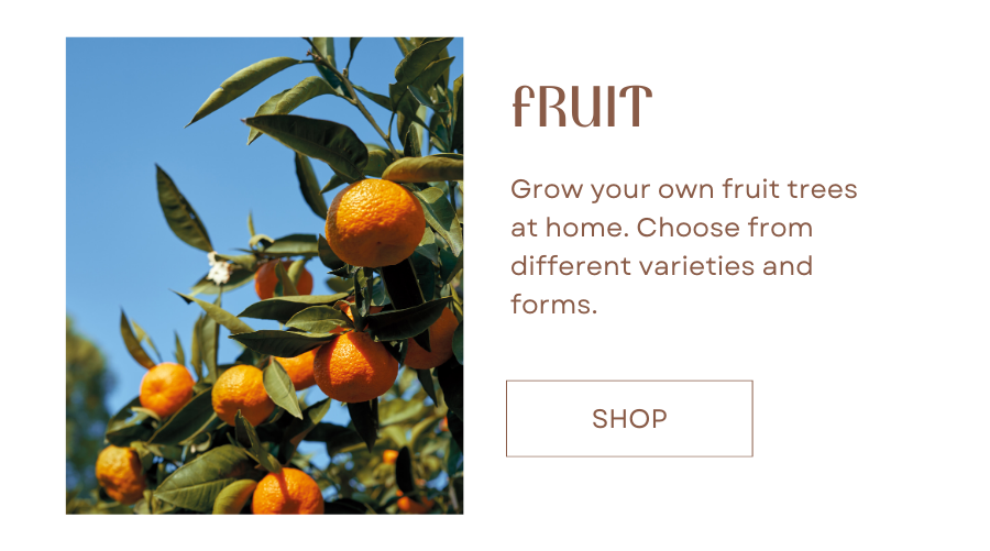 California fruit trees