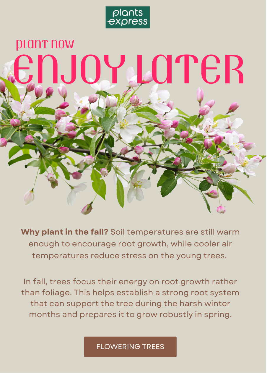 Plants Express
