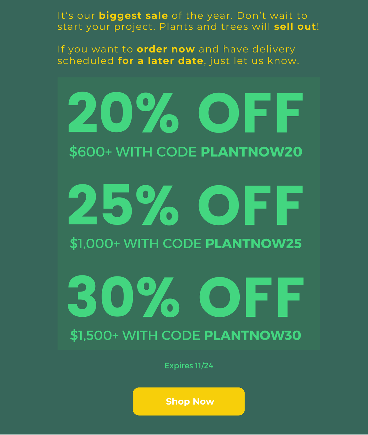 Plants Express Black Friday sale